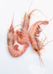 raw prawns isolated in white
