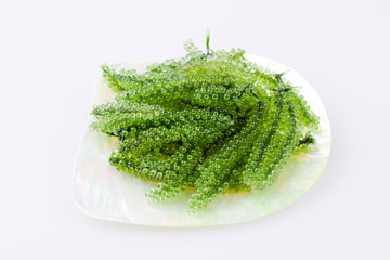 Seaweed , Healthy sea food in the dish from mother of pearl. Sea