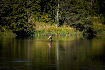 Fototapeta na wymiar Man fly fishing in river in lake with forrest surrounding