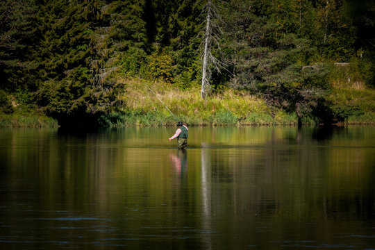 Man fly fishing in river in lake with forrest surrounding