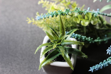 造花のラベンダーとアロエ