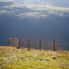 Fence on the Mountain