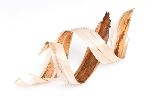 Bark. Wood shavings in a carpenter's masterpiece.