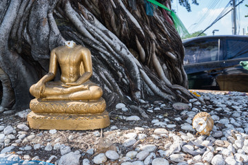 Buddha head fractures.