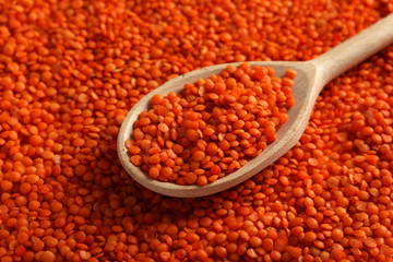 Red lentils in the wooden spoon