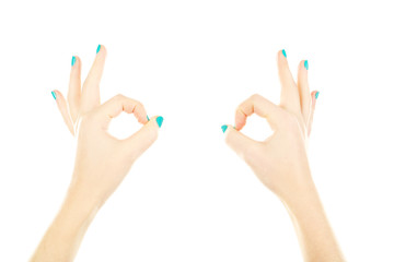 Female hands gestures on a white background