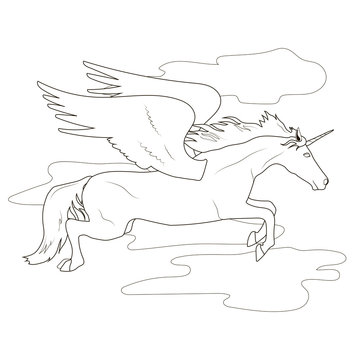 Coloring flying Pegasus Unicorn