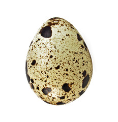 Quail egg on a white background