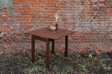 Wooden table with vase and wallnuts on green grass near old bric