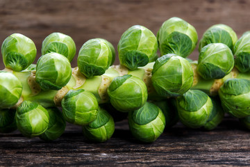 close up Sprouts on the stalk