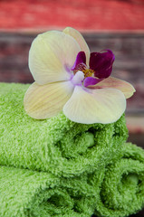 Obraz na płótnie Canvas orchid flower and green towel