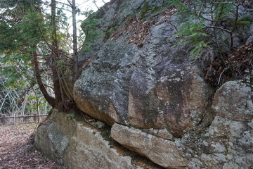 Fototapeta na wymiar 岩