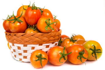 tomatoes on a white background
