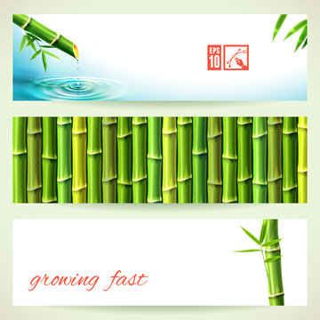 Set of Horizontal Bamboo Banners. Vector illustration, eps10, editable.