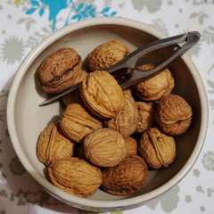Bowl of fresh walnuts in the shell with a nutcracker
