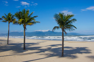 Plakat palm trees on tropical beach