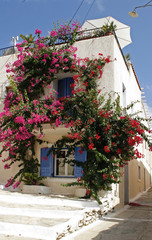 Fototapeta na wymiar flowers around the window. Greece