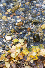 colored stones under water as background