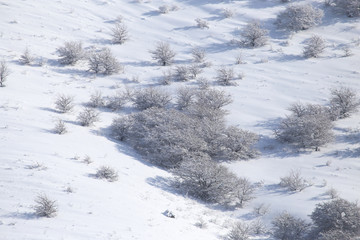 Snowy mountainside in winter