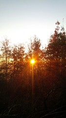 alba autunnale