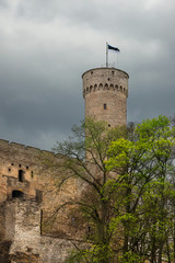 Watch tower of tall Hermann in Tallinn