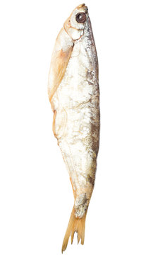 sabrefish smoked fish on a white background