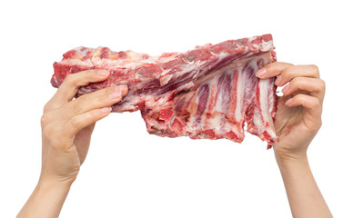 fresh meat in hand on a white background