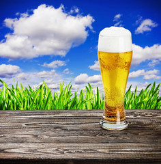 glass of beer on the table