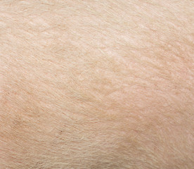 pig skin as a background