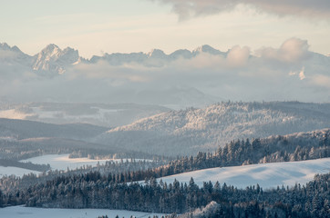 Poranna panorama zaśnieżonych gór Tatry nad Spiszem, Polska - 98867443