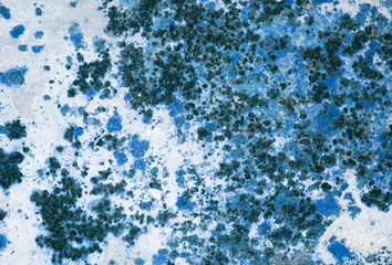 Obraz premium Old grunge wall texture