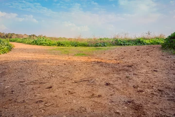 Gordijnen Rural dirt road in the field   © wavemovies