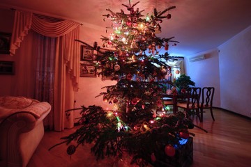 christmas tree in the room 