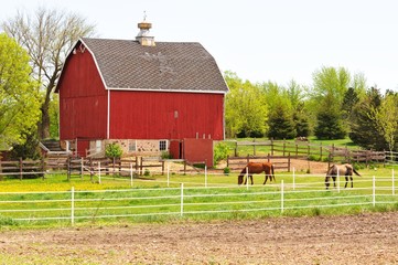 Obraz premium Barn and Horses