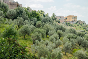 Fototapeta premium Villa d'Este in Tivoli, Italy