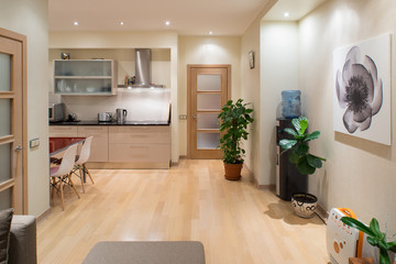 Fototapeta na wymiar Modern studio interior in private house. Kitchen