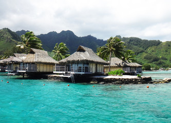 View of Moorea from the lagoon, French Polynesia.