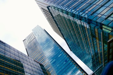 六本木ミッドタウン