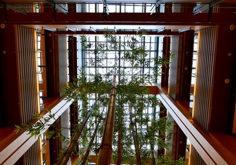 ロビーと竹林と格子