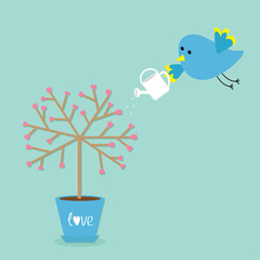 Love tree in the pot. Heart flower. Bird with watering can. Word love Blue background. Flat design