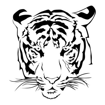 Tiger head black and whit, Vector