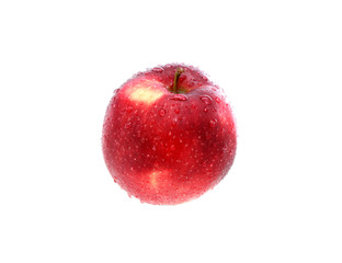 Wet Red Apple