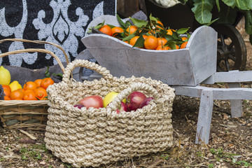 fruit and vegetables in the basket