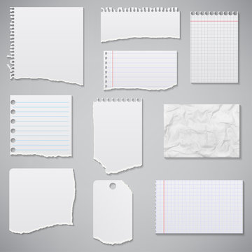 collection of white torn paper. Vector illustration