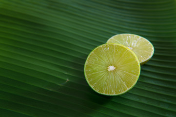 Seasoning, Fresh herbs  food background with copy space