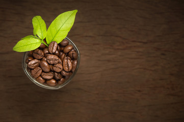 Coffee,coffee beans,Green leaf in cup of coffee ,background.