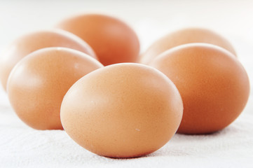 Eggs close up on white background