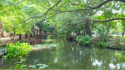 Fototapeta na wymiar Faculty of Achitecture Garden. KMITL, Ladkrabang, Bangkok, Thailand.