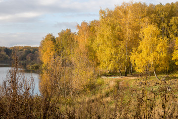 Golden Autumn on the banks of the river Pekhorka