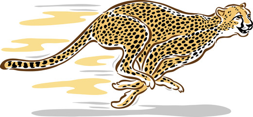 Cheetah running and talking for advertising